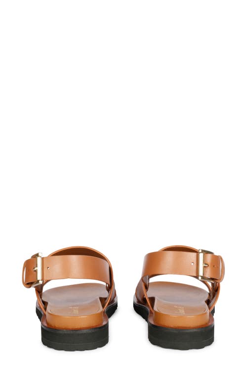 Saint G Sicily Slingback Sandal In Tan