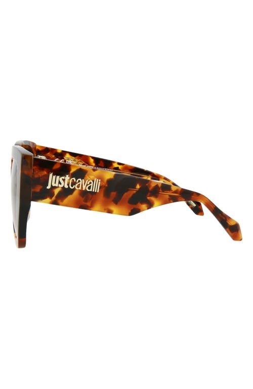 Just Cavalli 53mm Square Sunglasses In Havana Havana Brown