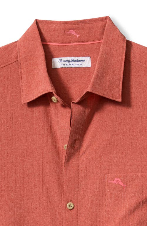 Shop Tommy Bahama Bahama Coast Sandypoint Solid Islandzone® Short Sleeve Button-up Shirt In Rose Red