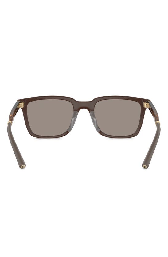 Oliver Peoples Man Sunglass Ov5553su Mr. Federer In Beige