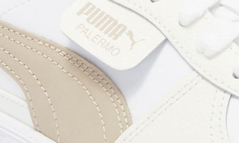 Shop Puma Palermo Sneaker In  White-warm White