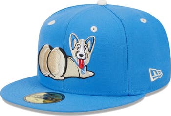 All Star Dogs: Lehigh Valley IronPigs Pet Products