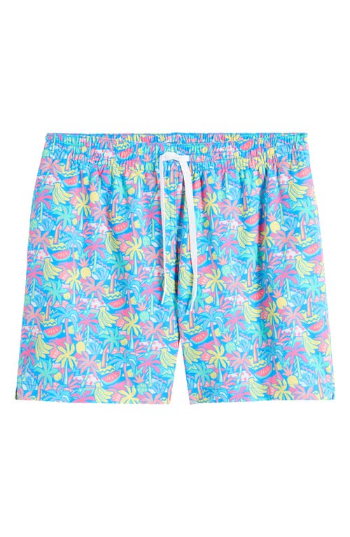 Chubbies Classic Lined 5.5-Inch Swim Trunks Bright Blue Tropical at Nordstrom,
