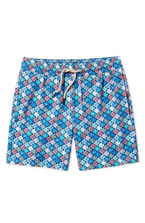 Men's Colosseum Blue UCLA Bruins The Dude Swim Shorts