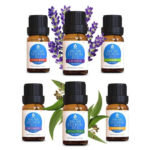 Pursonic 6 Pack Of 100% Pure Essential Aromatherapy Oils In Multicolor