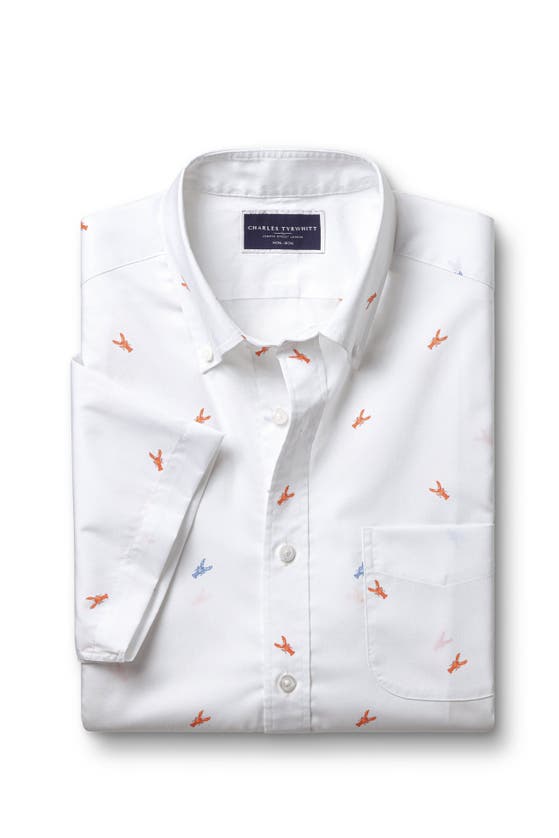 Shop Charles Tyrwhitt Slim Fit Multi Button-down Collar Non-iron Lobster Print Short Sleeve Shirt In Orange