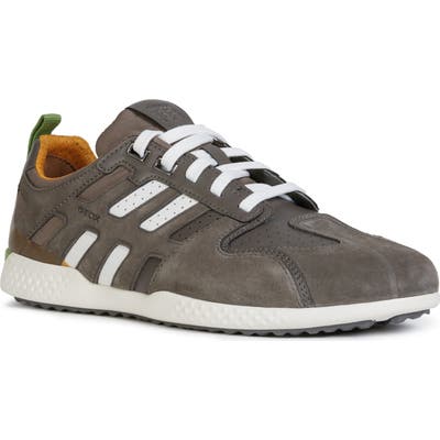 Geox Snake 25 Sneaker - Grey