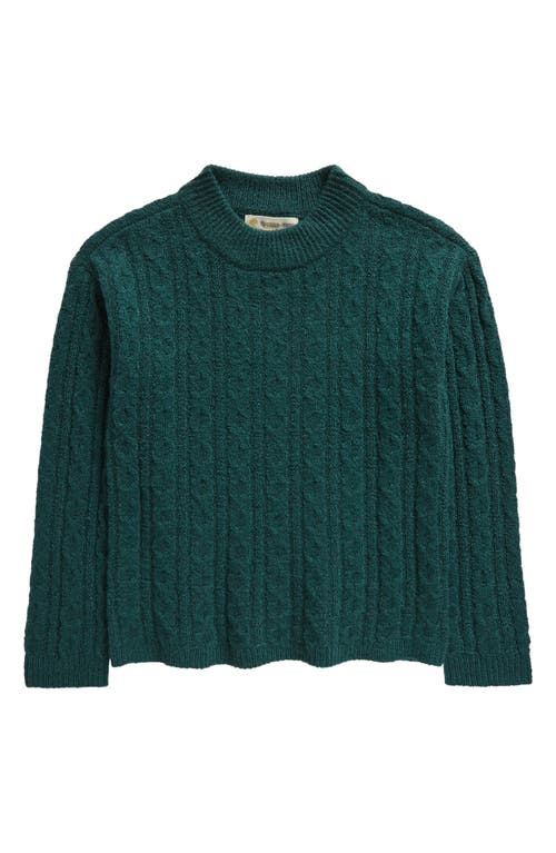 Tucker + Tate Kids' Cable Knit Sweater in Green Bug