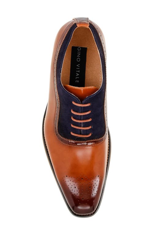 Gino Vitale Wingtip Oxford In Brown/navy