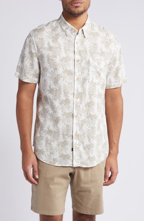 Rails Carson Leaf Print Short Sleeve Linen Blend Button-Up Shirt Dotted Fronds Seneca at Nordstrom,