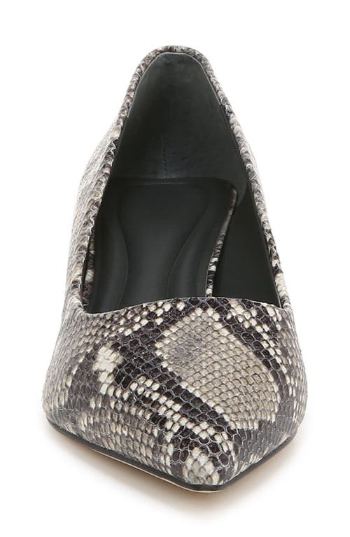 Shop Sarto By Franco Sarto Diva Pointed Toe Kitten Heel Pump In Grey