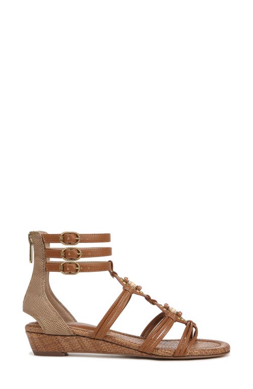 Sam Edelman Danica Gladiator Sandal Saddle Leather In Saddle/chai Cream