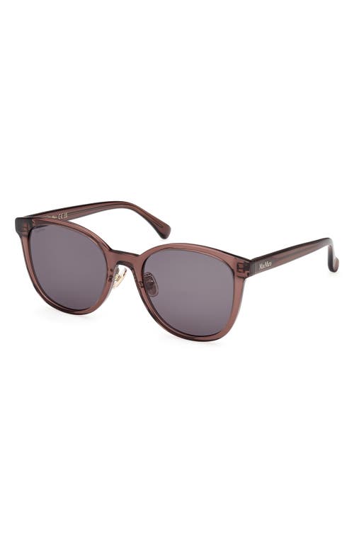 Shop Max Mara 55mm Round Sunglasses In Shiny Dark Brown/smoke