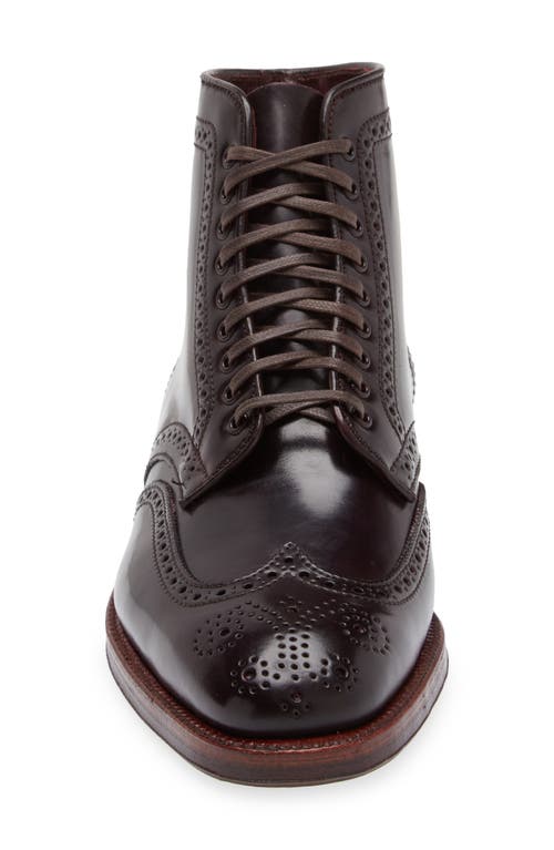 Shop Alden Shoe Company Alden Wingtip Lace-up Boot In Color 8 Shell Cordovan