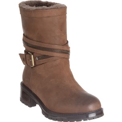 Ross & Snow Cristiana Genuine Shearling Lined Moto Boot, Brown