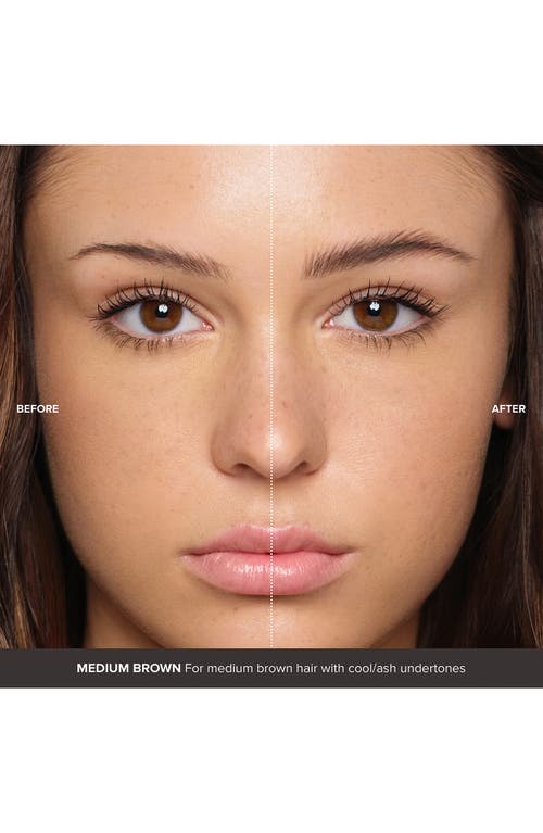 Anastasia Beverly Hills Volumizing Tinted Brow Gel In Medium Brown
