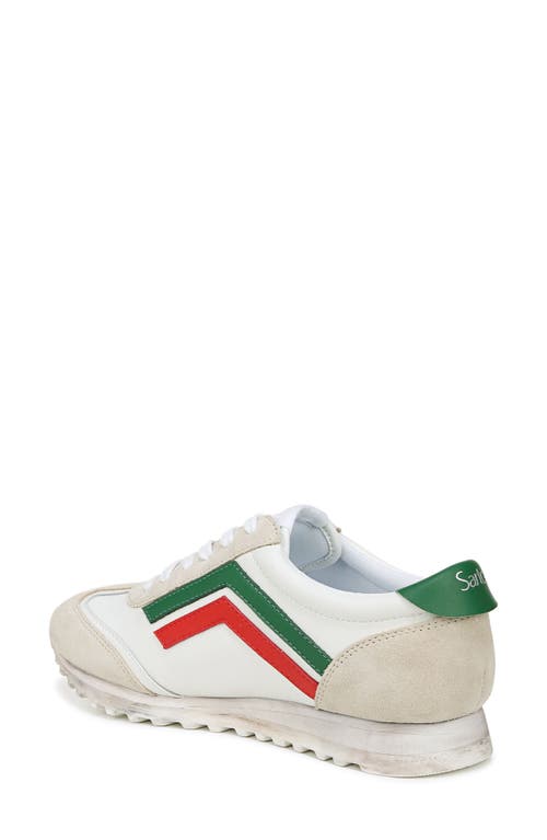 Shop Franco Sarto Matera Sneaker In Green Multi