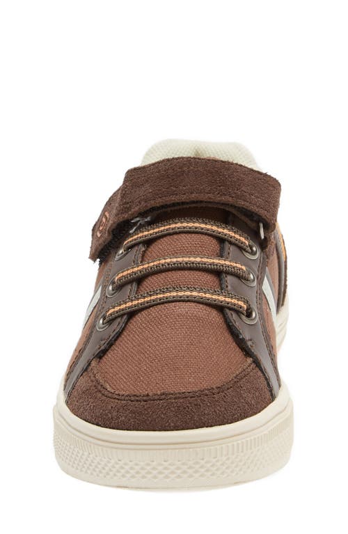 Dream Pairs School Low Top Sneaker In Brown/orange