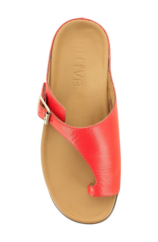 Shop Strive Java Ii Slide Sandal In Scarlet