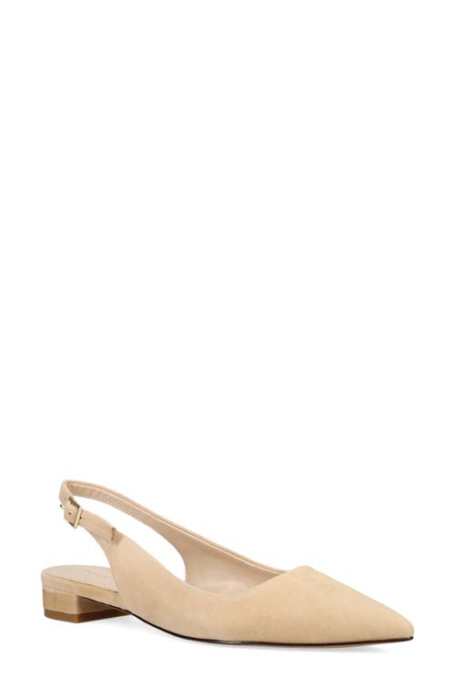 Shop Pelle Moda Aali Pointed Toe Slingback Flat In Latte