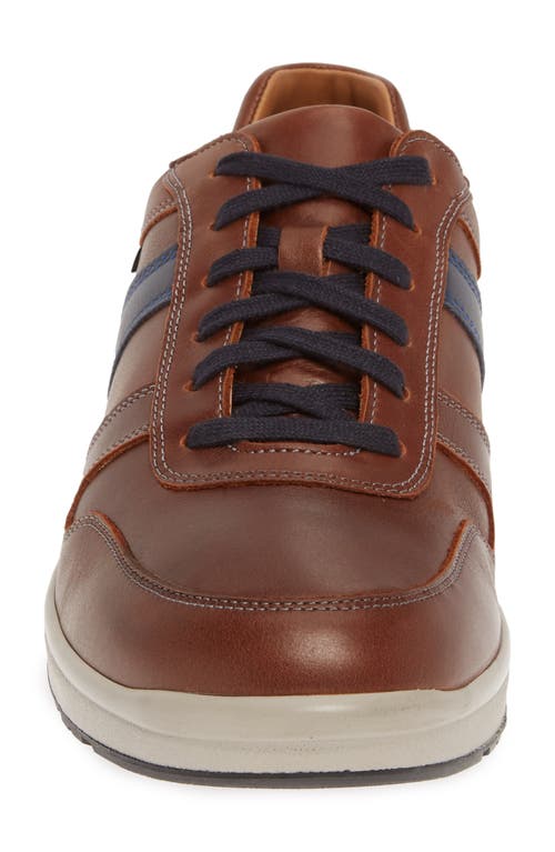 Mephisto Vito Sneaker In Chestnut/navy Leather