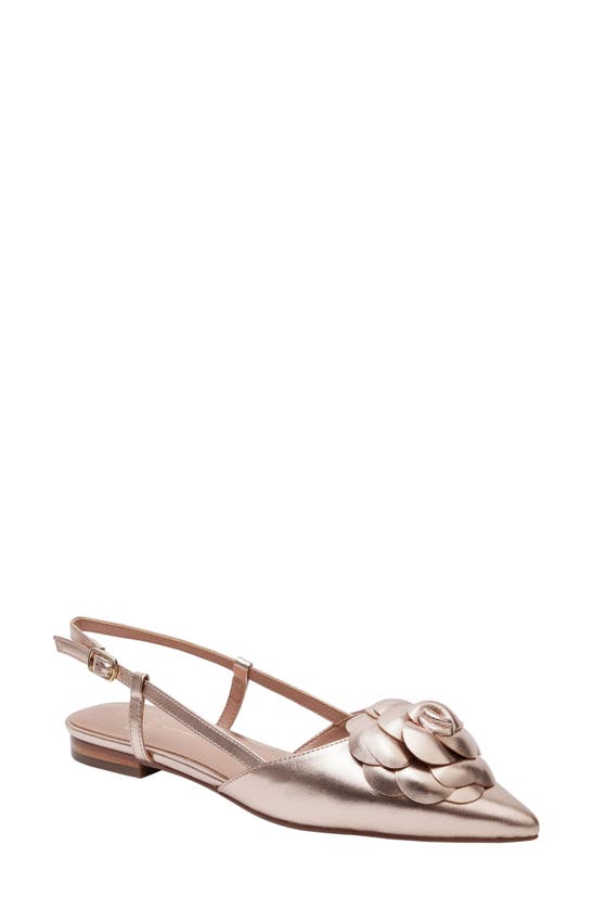 linea paolo delilah slingback flat
