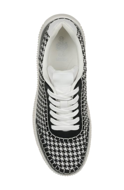Good Choice New York Ceci Knit Sneaker In Black