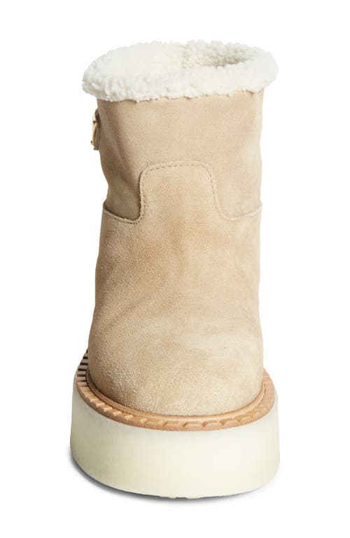 Prada Evolve Genuine Shearling Bootie In Ecru