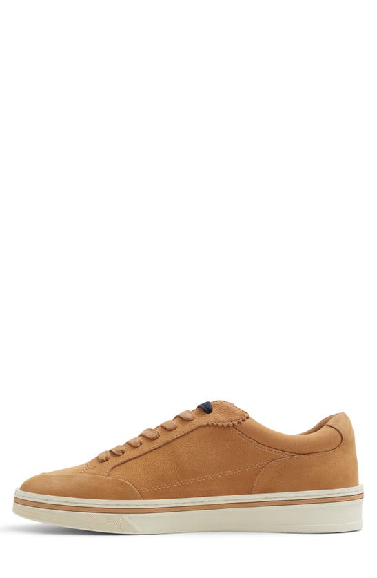 Shop Ted Baker Hampstead Sneaker In Light Brown