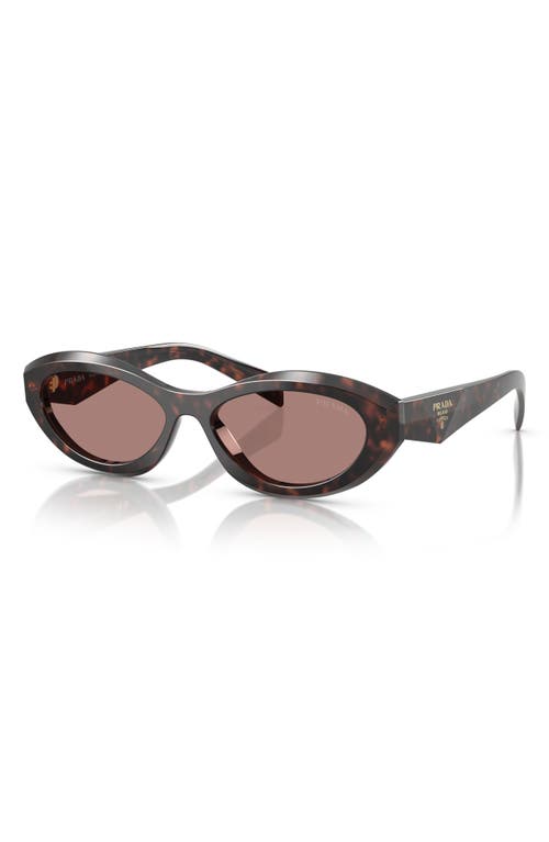 Shop Prada 55mm Irregular Sunglasses In Brown Tortoise