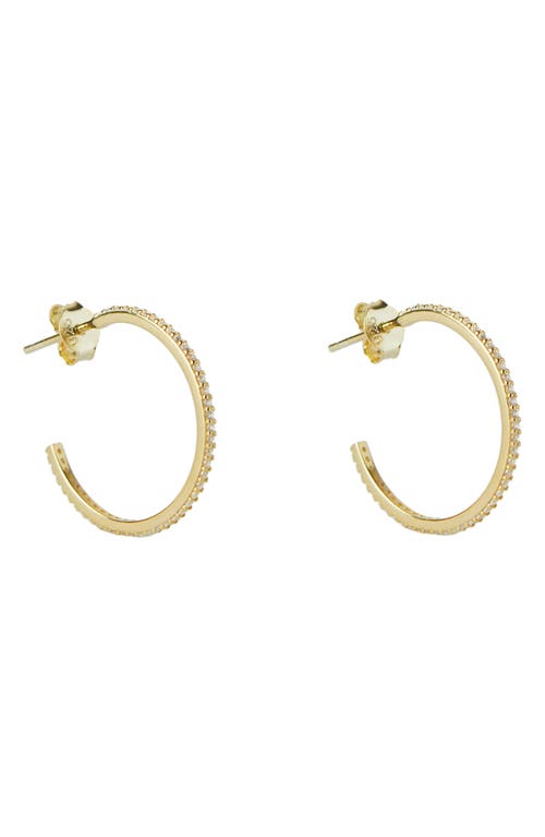 Argento Vivo Sterling Silver Medium Cubic Zirconia Hoop Earrings in Gold at Nordstrom