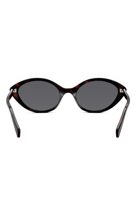 Shop Celine Cat Eye Sunglasses In Dark Havana / Smoke