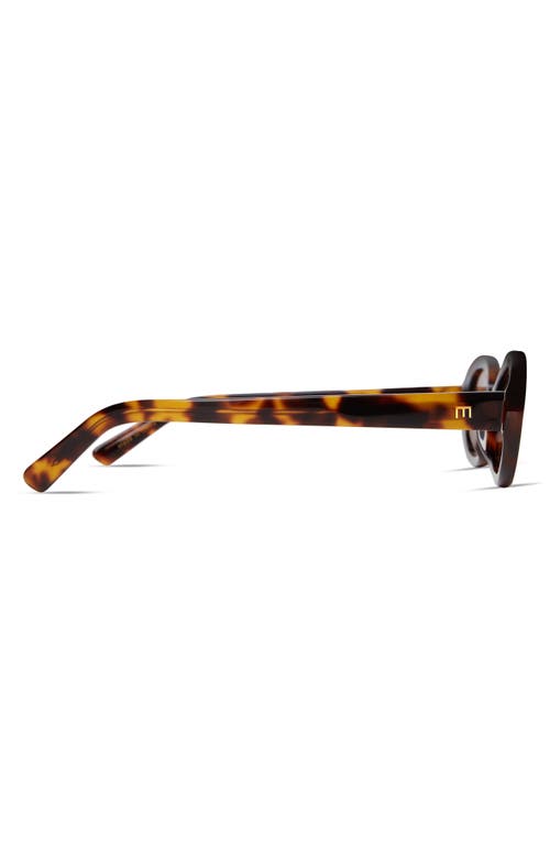Elisa Johnson Lyric Leigh In Brown Tortoise