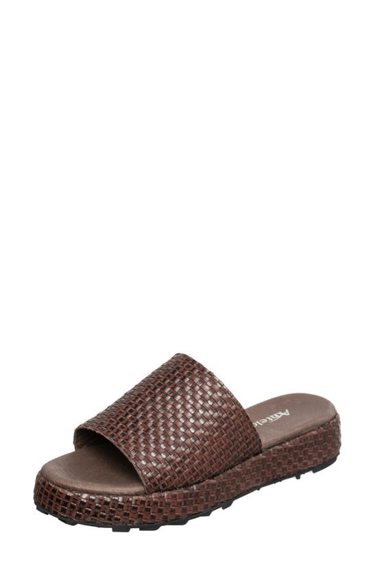Shop Antelope Brea Woven Leather Slide Sandal In Coffee Leather