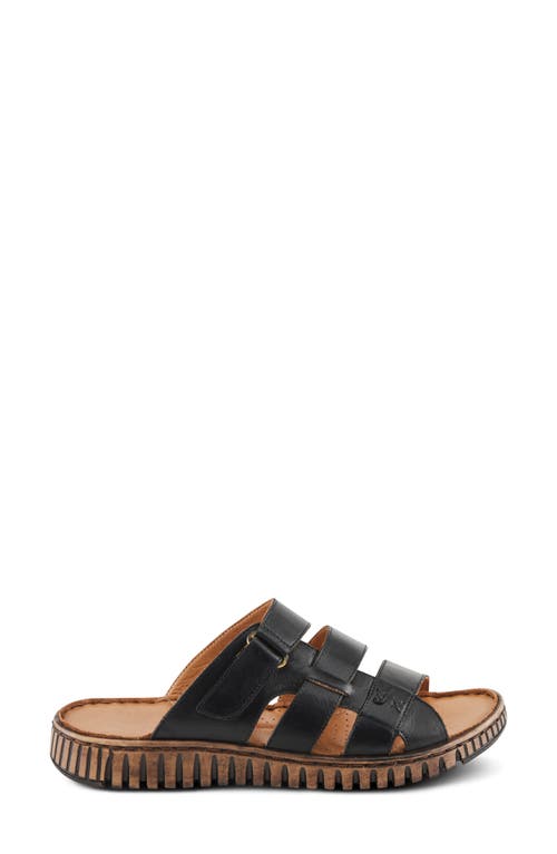 Shop Spring Step Olly Slide Sandal In Black