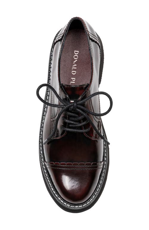 Shop Donald Pliner Leonardo Cap Toe Derby In Bordeaux