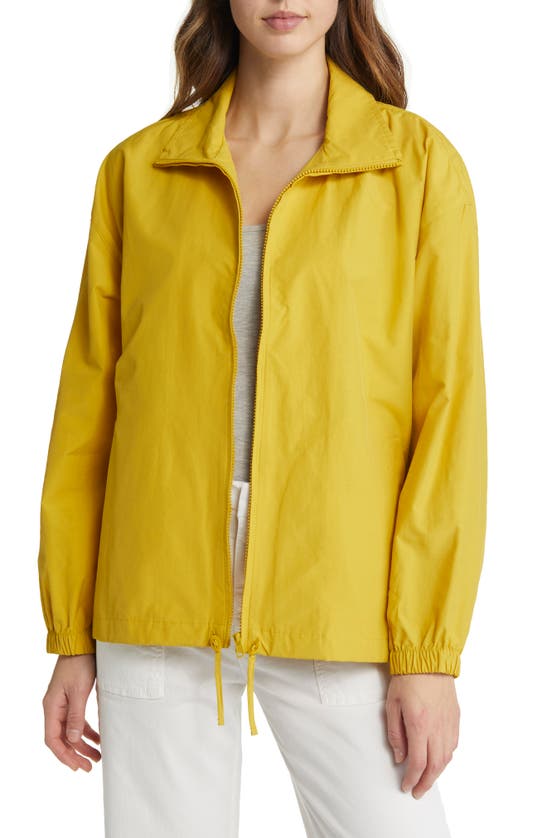 Eileen fisher clearance windbreaker