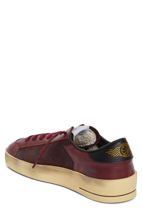 Golden Goose Stardan Sneaker In Brown/white/black