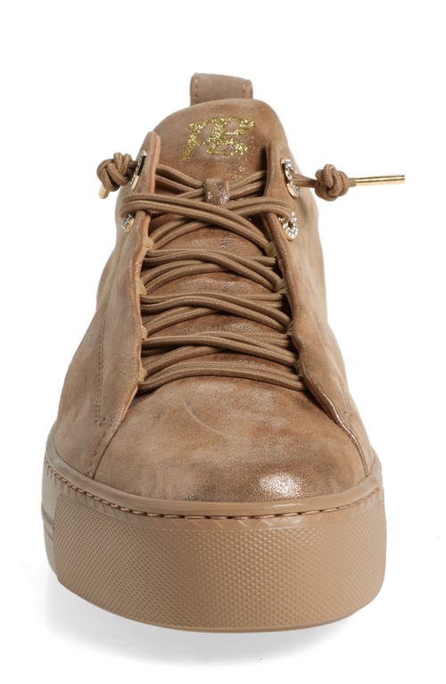 Shop Paul Green Wisdom Sneaker In Champagne Glossy Antic