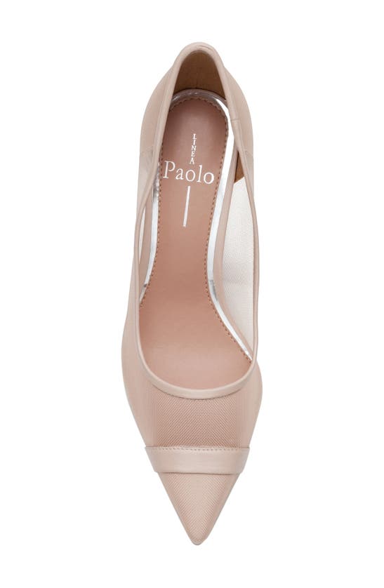 Linea Paolo Persia Pointed Toe Pump In Blush