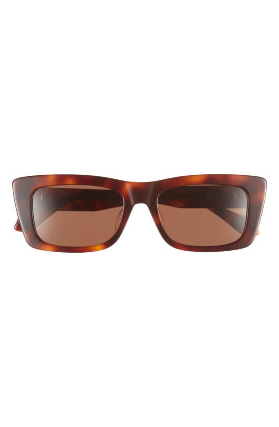 Mohala Eyewear Kea Special Fit Low 53mm Polarized Square Sunglasses In Tiger Eye Tortoise