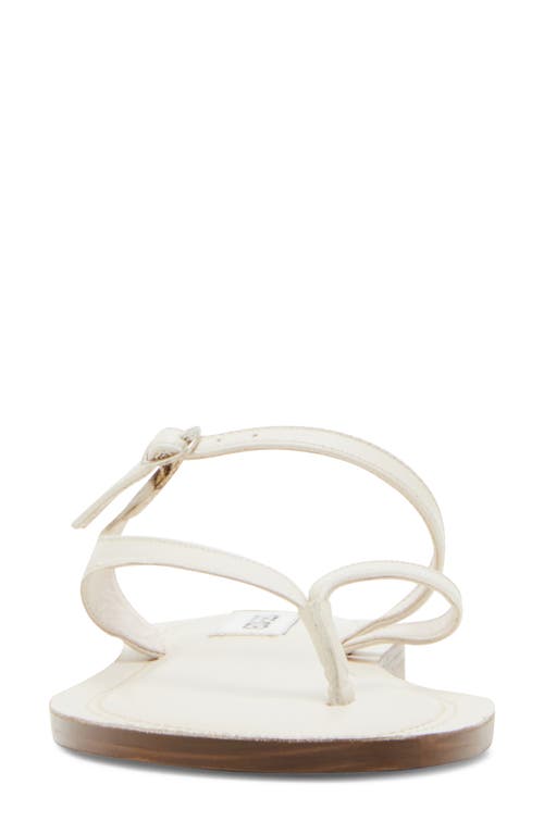 Steve Madden Roca Strappy Sandal In Bone Leather