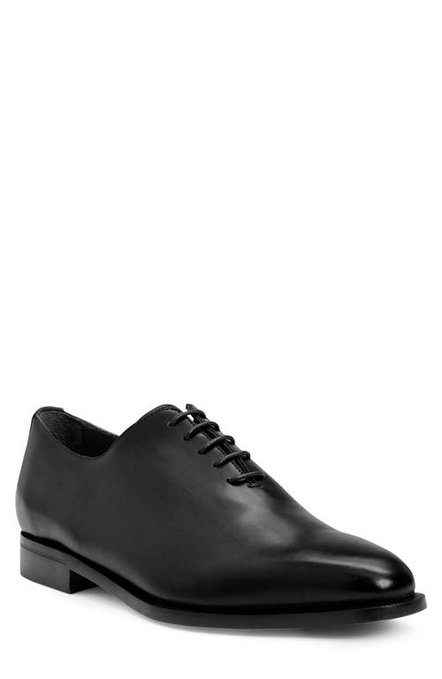 Veleno Wholecut Shoe in Black