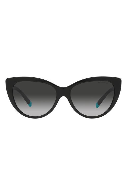 Tiffany & Co. 56mm Gradient Cat Eye Sunglasses in Black at Nordstrom