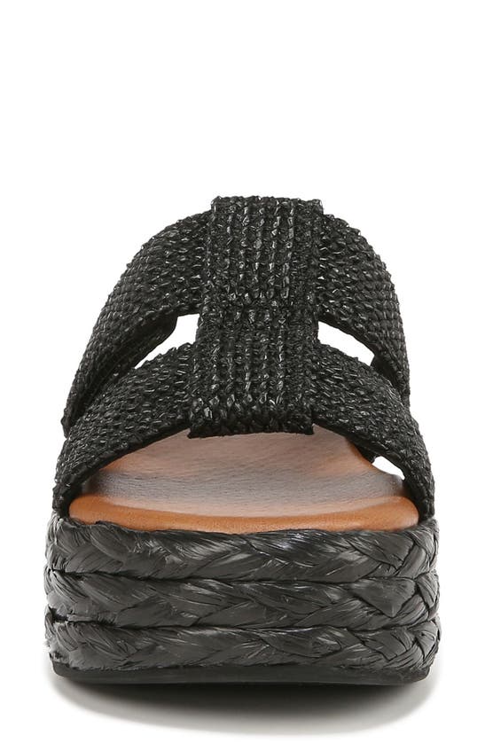 Shop Zodiac Izzy Raffia Platform Sandal In Black Raffia