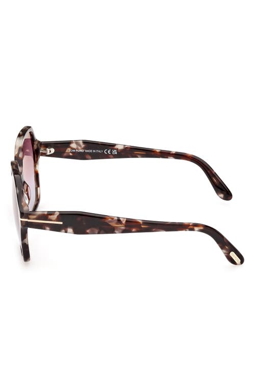 Shop Tom Ford 56mm Gradient Square Sunglasses In Colored Havana/gradient