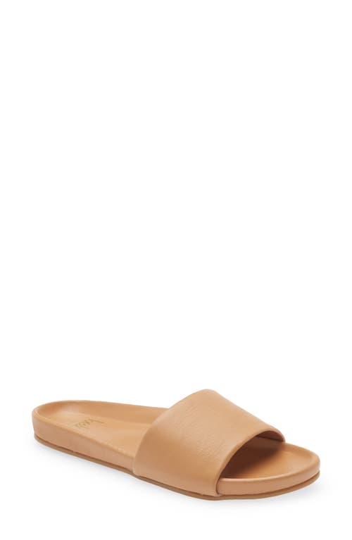 Gallito Leather Slide Sandal in Honey/honeydnu