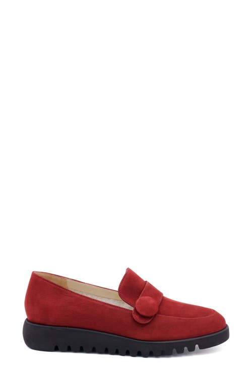 Shop Amalfi By Rangoni Moc Toe Loafer In Rubino Long Beach