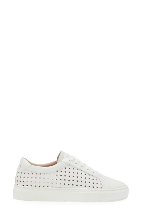 Shop Frankie4 Mim Iv Perforated Sneaker In White Weave