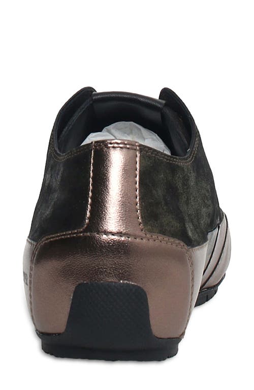 Shop Candice Cooper Rock Patch Metallic Sneaker In Bronze Gold